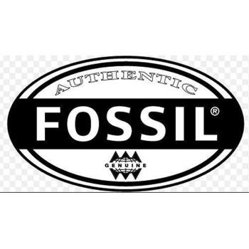 Fossil originale læder urremme
